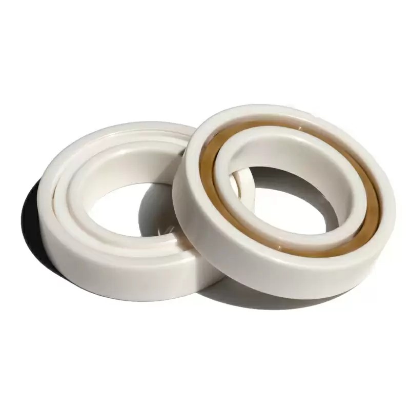 Ceramic Bearing