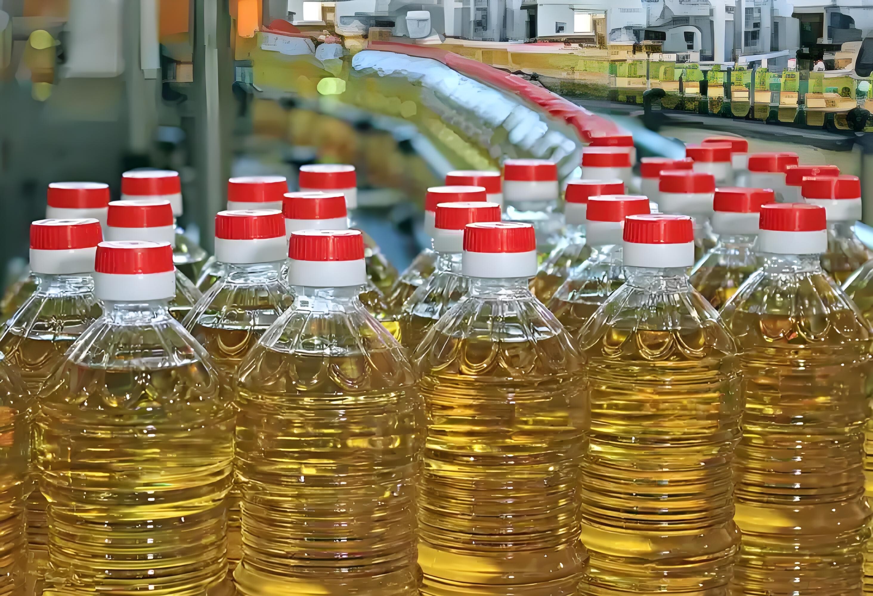 Edible oil