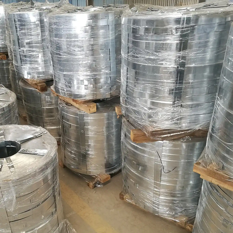 S220 0.8mm Z40g width 30mm-850mm Galvanized Steel Strip
