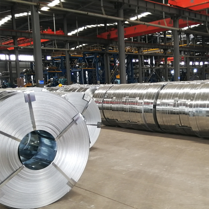 S220 0.8mm Z40g width 30mm-850mm Galvanized Steel Strip