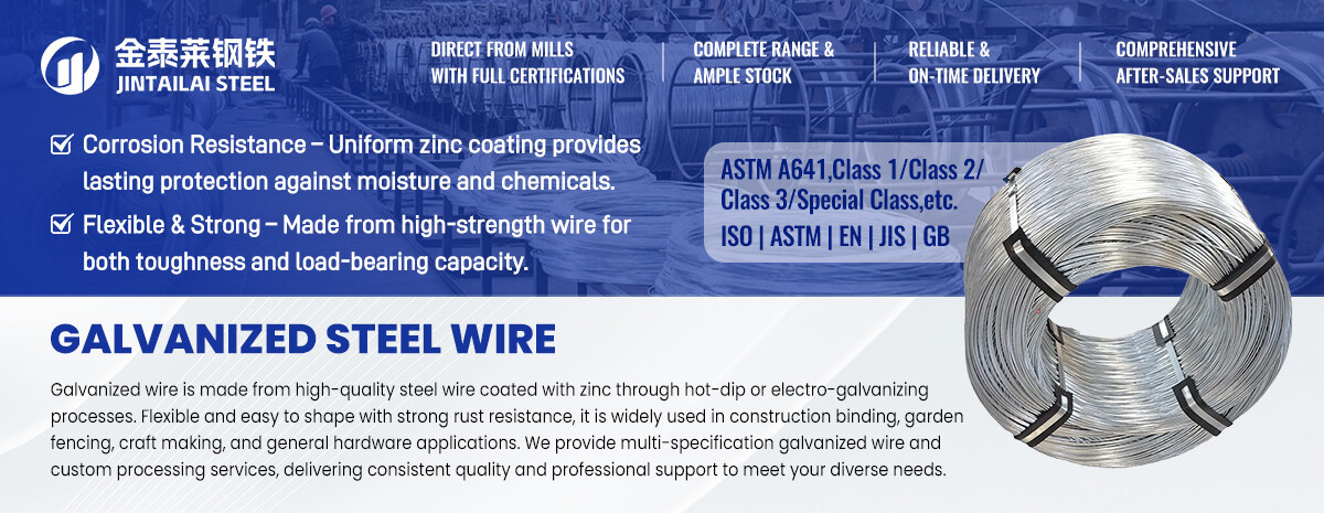 镀锌丝 拷贝.jpg