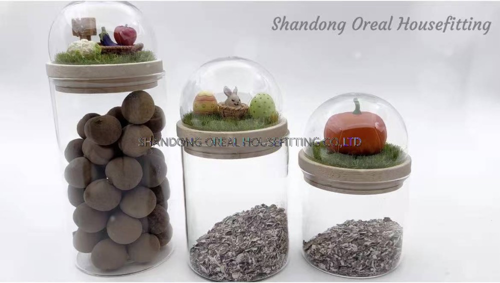 Stylish glass storage jars