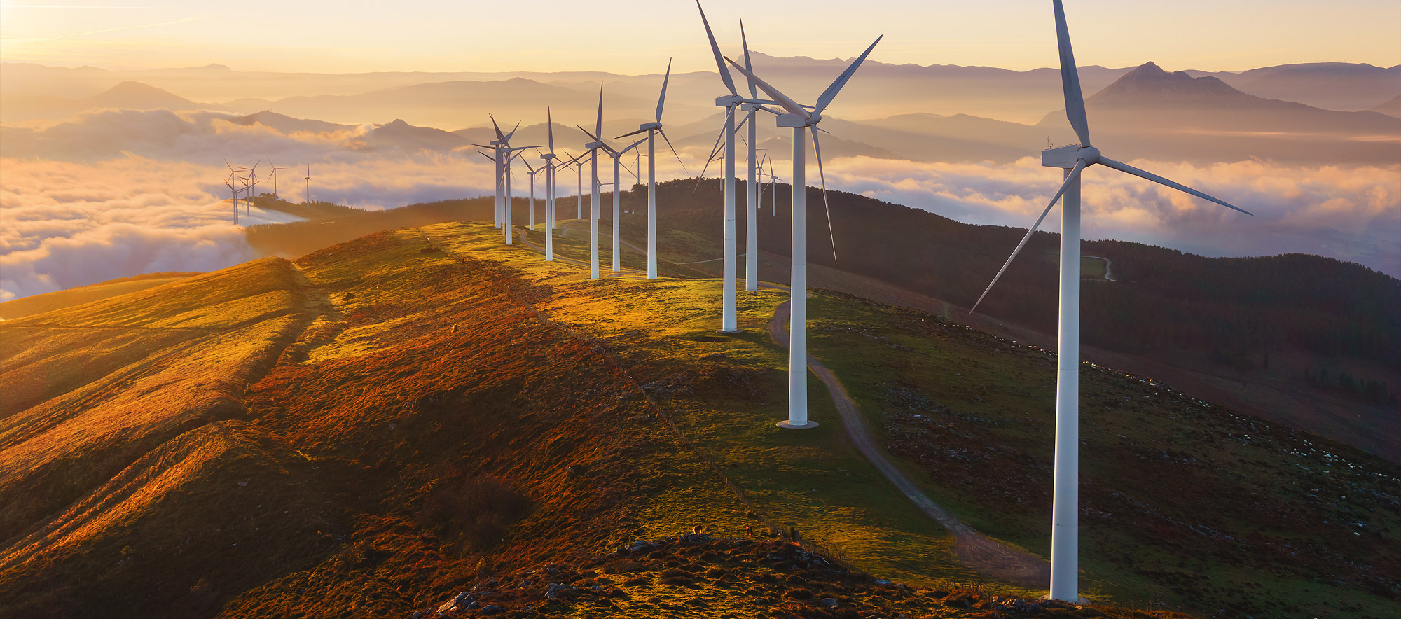 Renewable Energy Renewable Energy