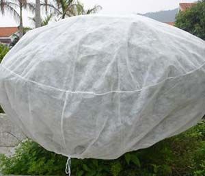 Plant protection cover