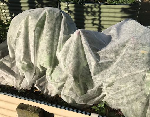 Capillary Matting For Horticulture From Qingdao Vendor