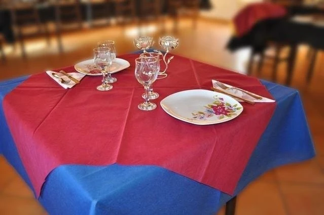 TNT Table Cloth From Qingdao City, China