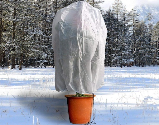 PP nonwoven plant protection cover with zipper and drawstring