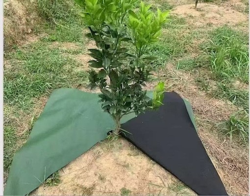 Weed control fabric for large plants, Latin American markets