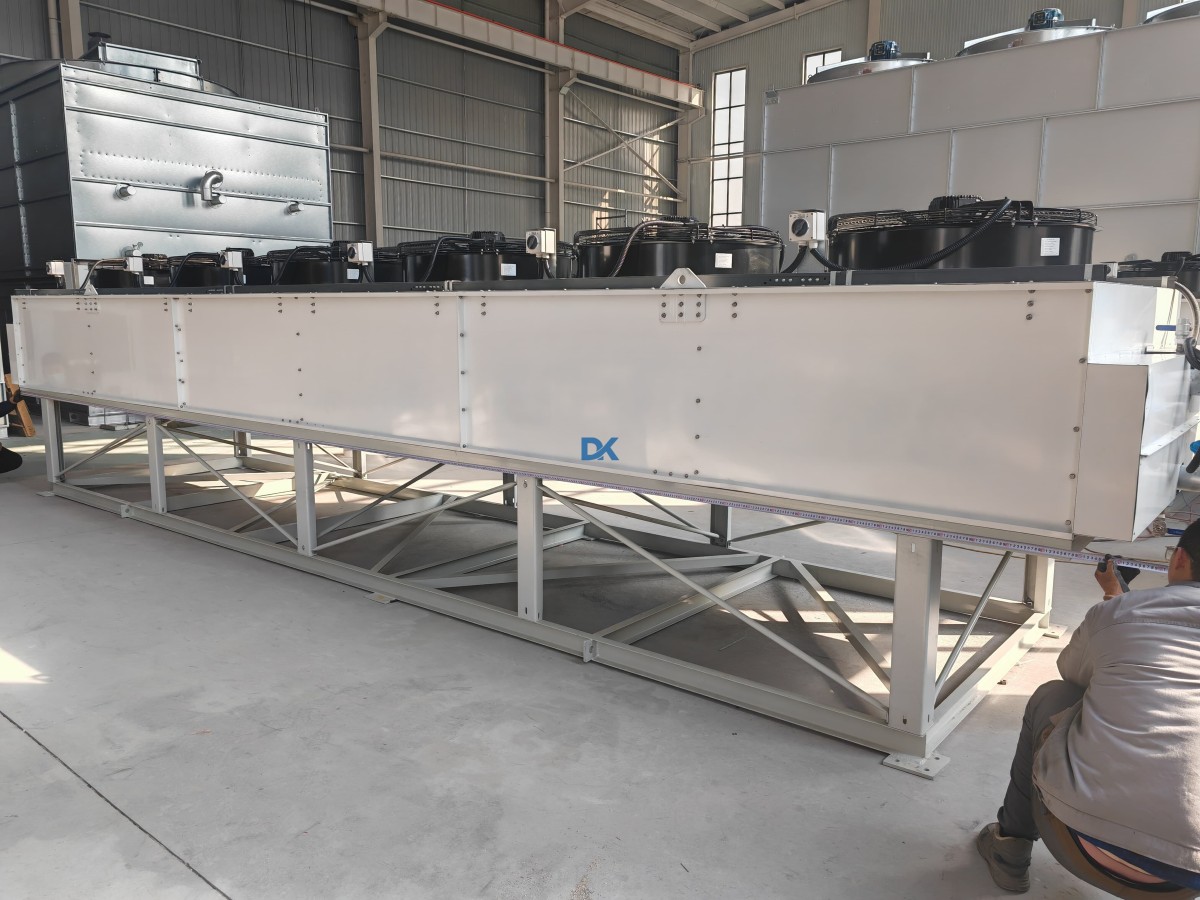 IMG_20250220_095533.jpg IMG_20250220_095533.jpg