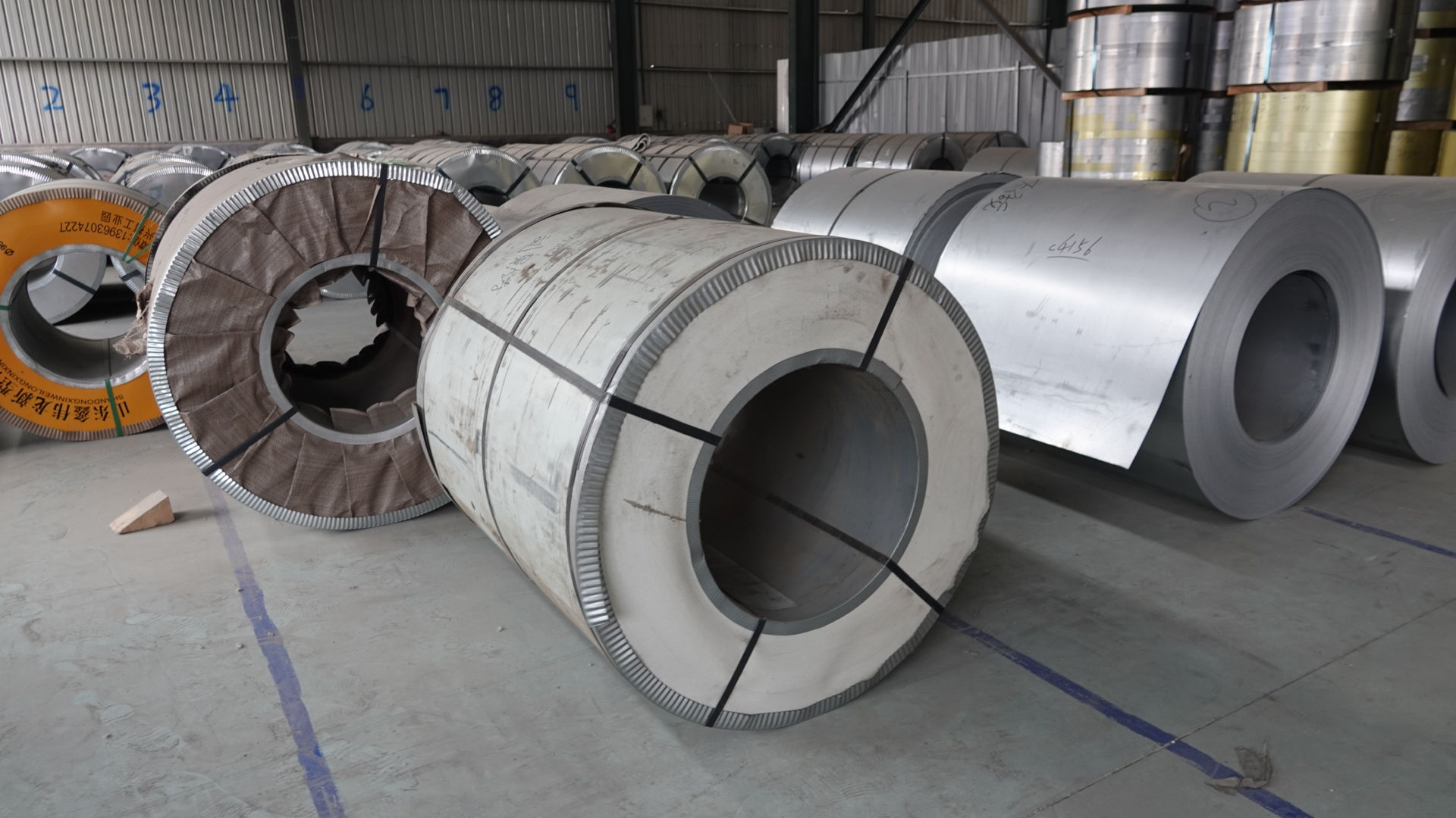Galvanized Steel Coils