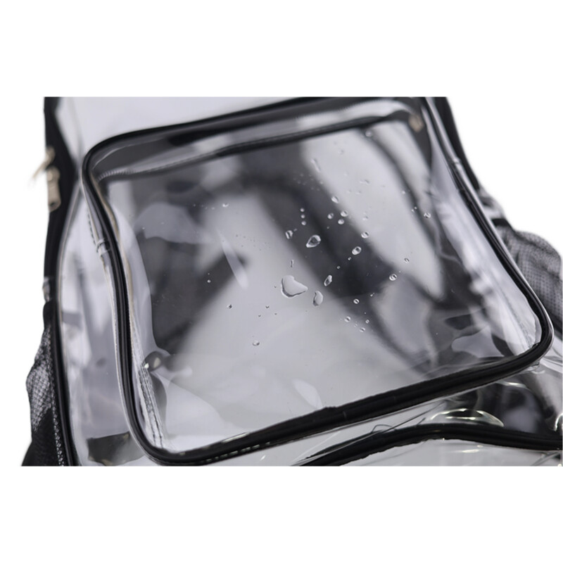 Transparent backpack