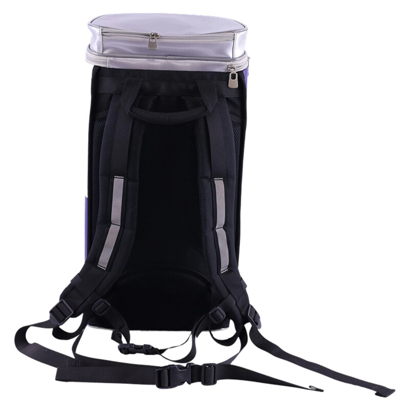 Red Bull insulated backpack