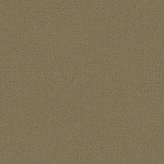 SA5-13.jpg