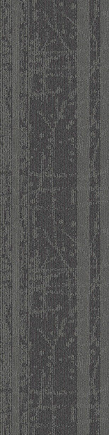 SA14-03.jpg