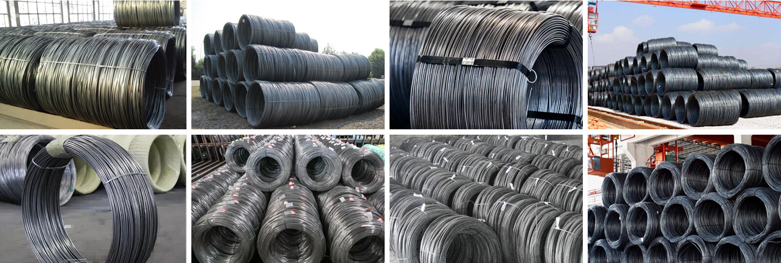 碳钢丝
