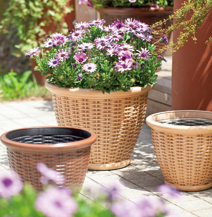 Plastic Flower Pots