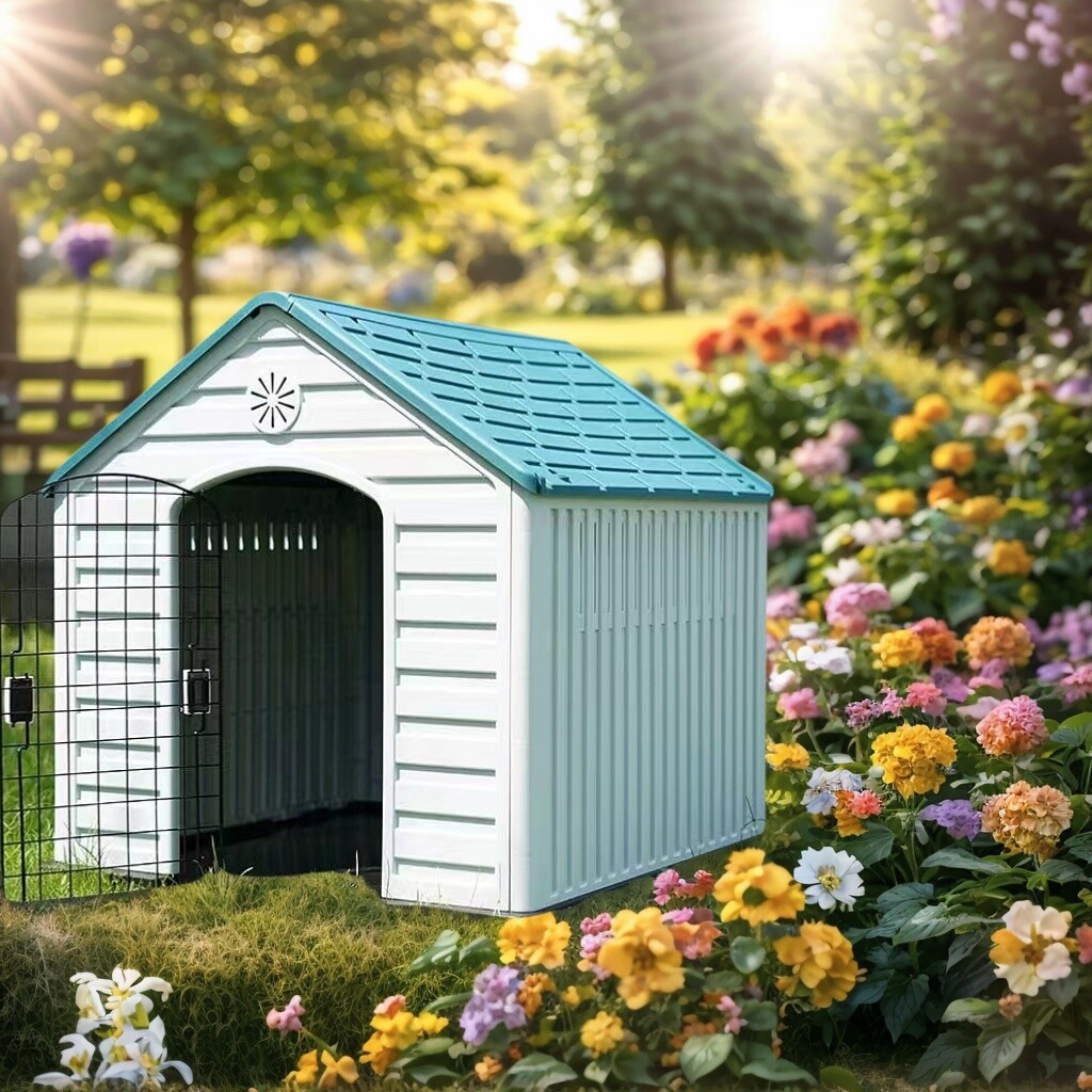 Dog House