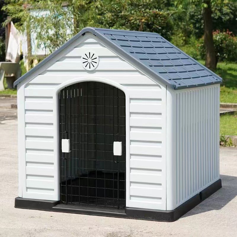 Dog House