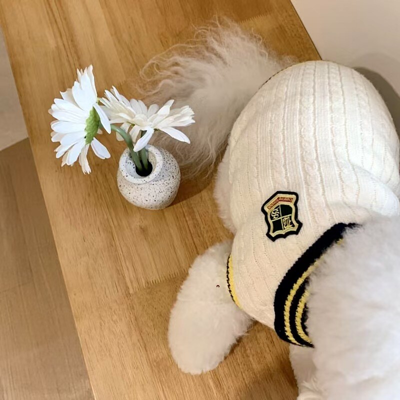 Pet sweater