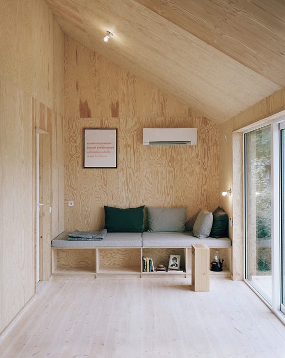 Pine Plywood