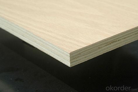 Pine Plywood