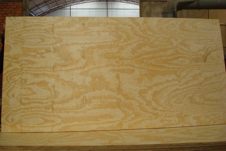 Pine Plywood