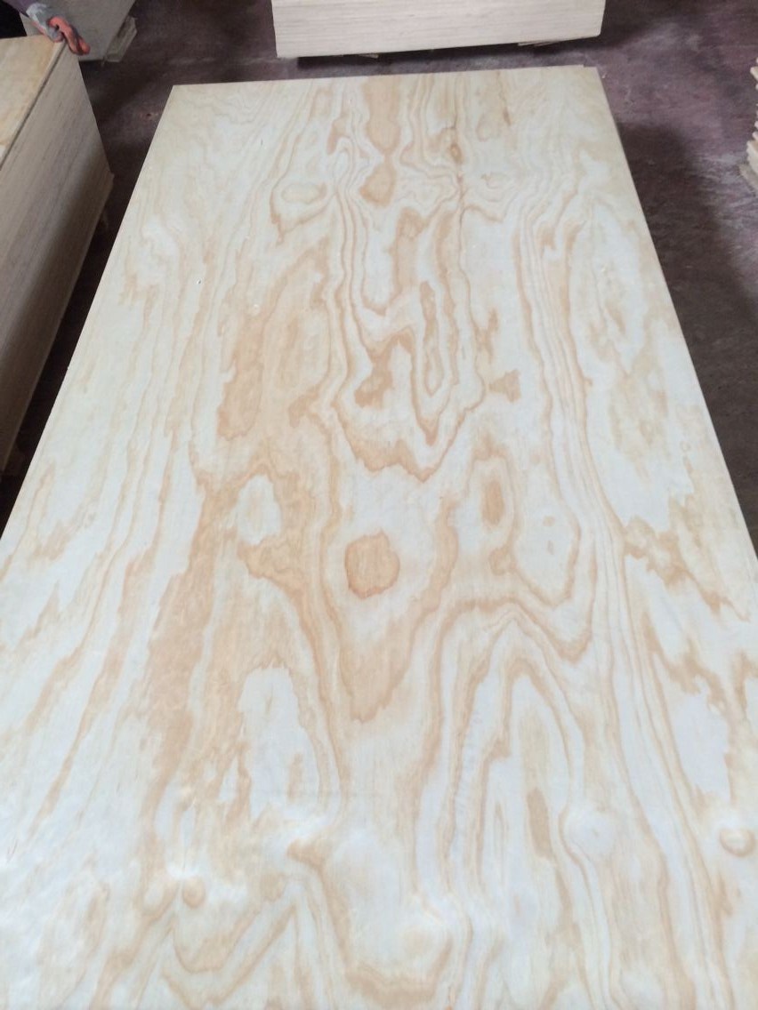 Pine Plywood