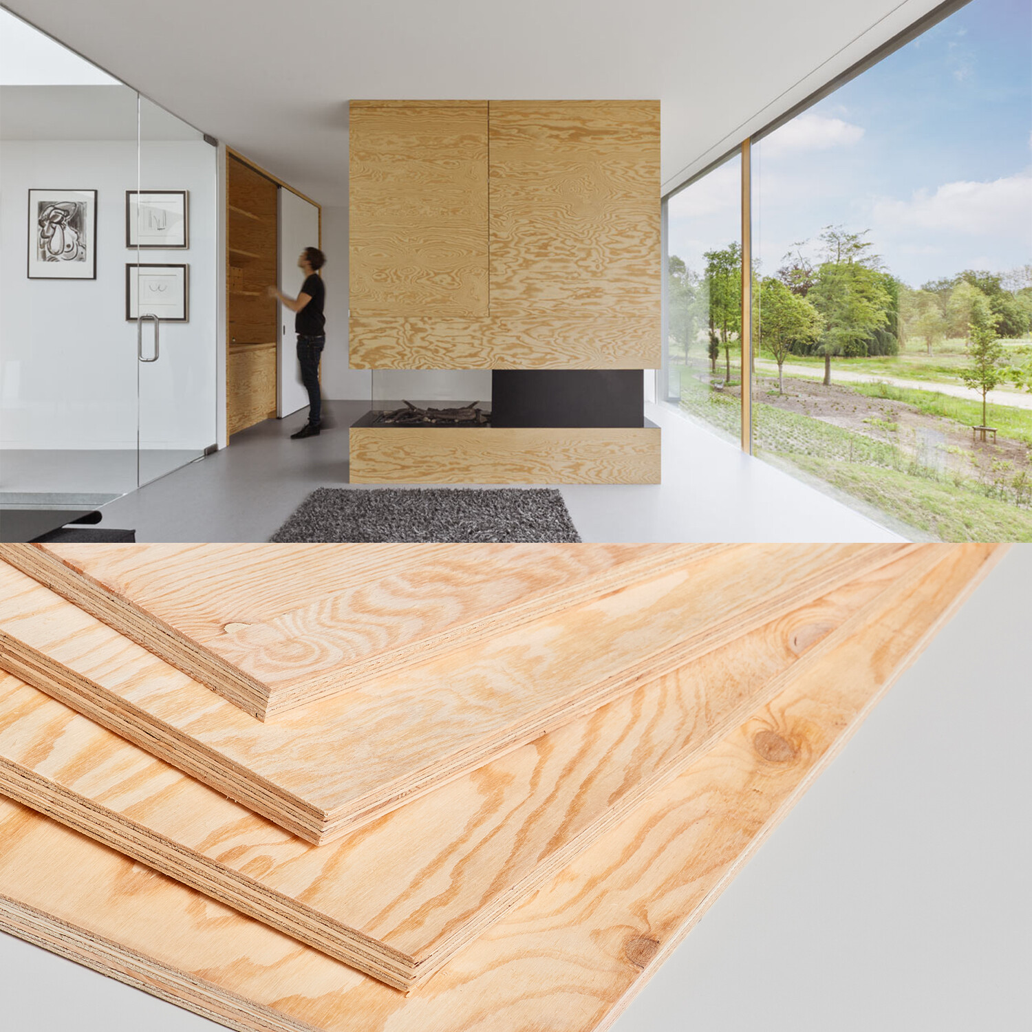 What is Pine Plywood?