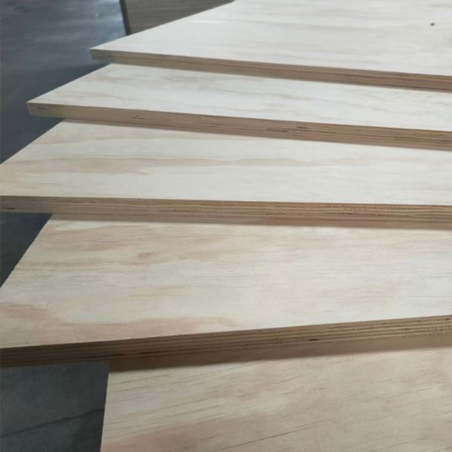 Pine Plywood