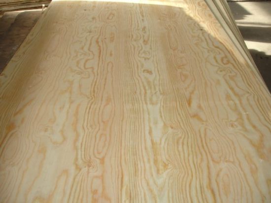 Pine Plywood