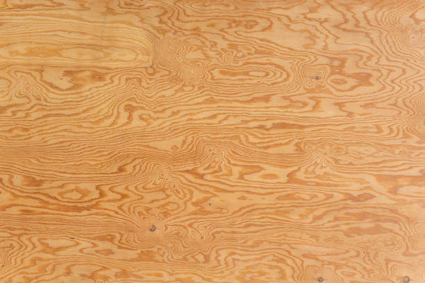 Pine Plywood