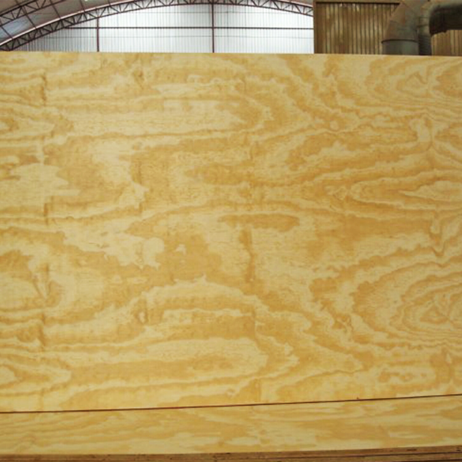 Pine Plywood