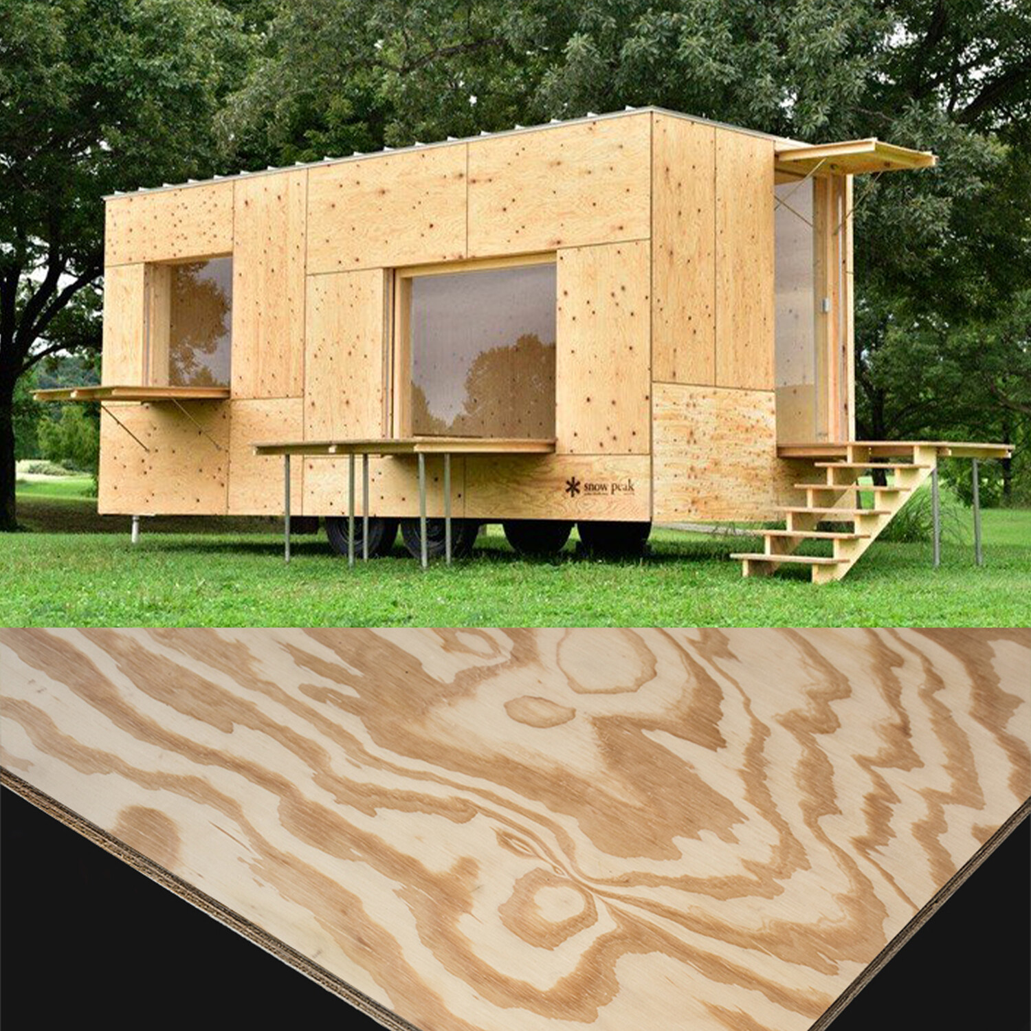Pine Plywood