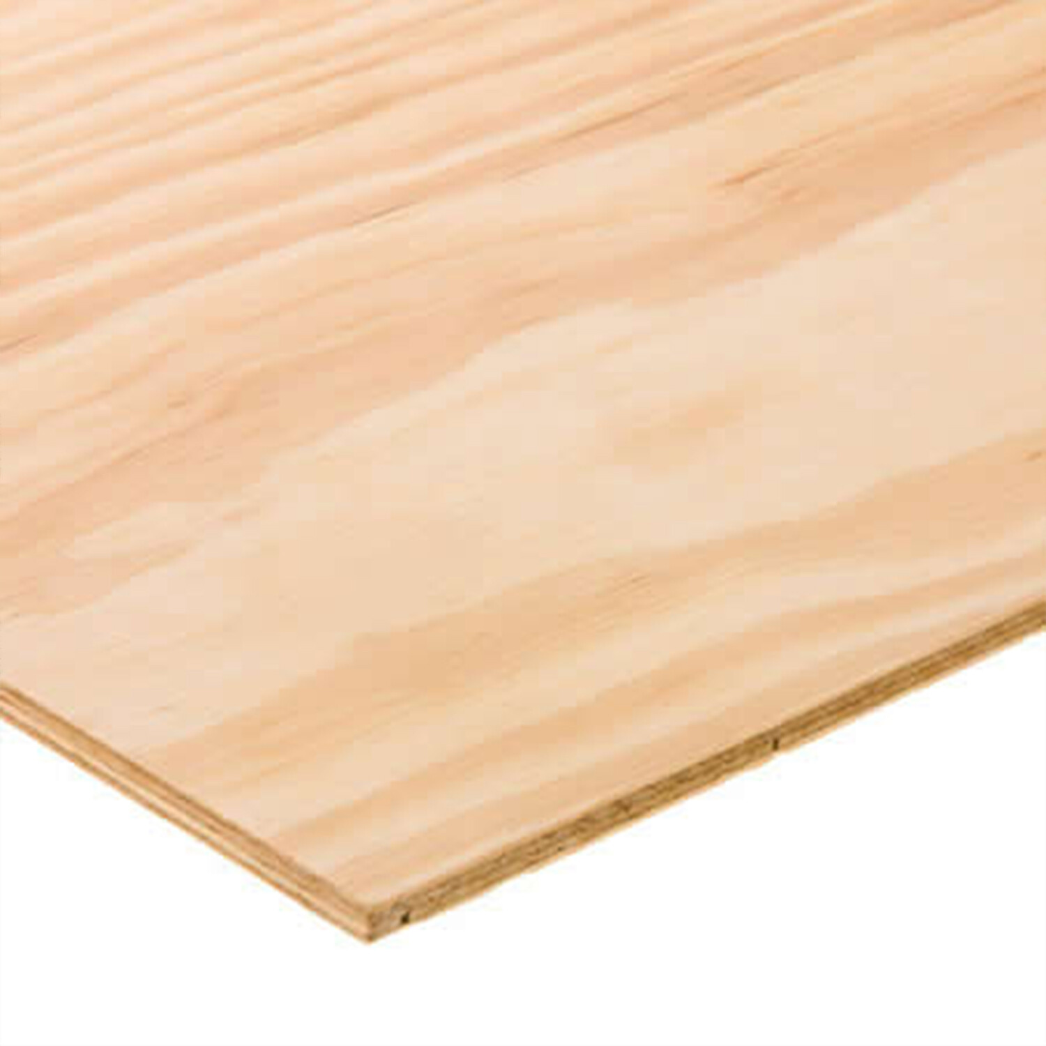 Pine Plywood