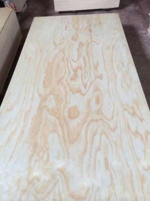 Pine Plywood