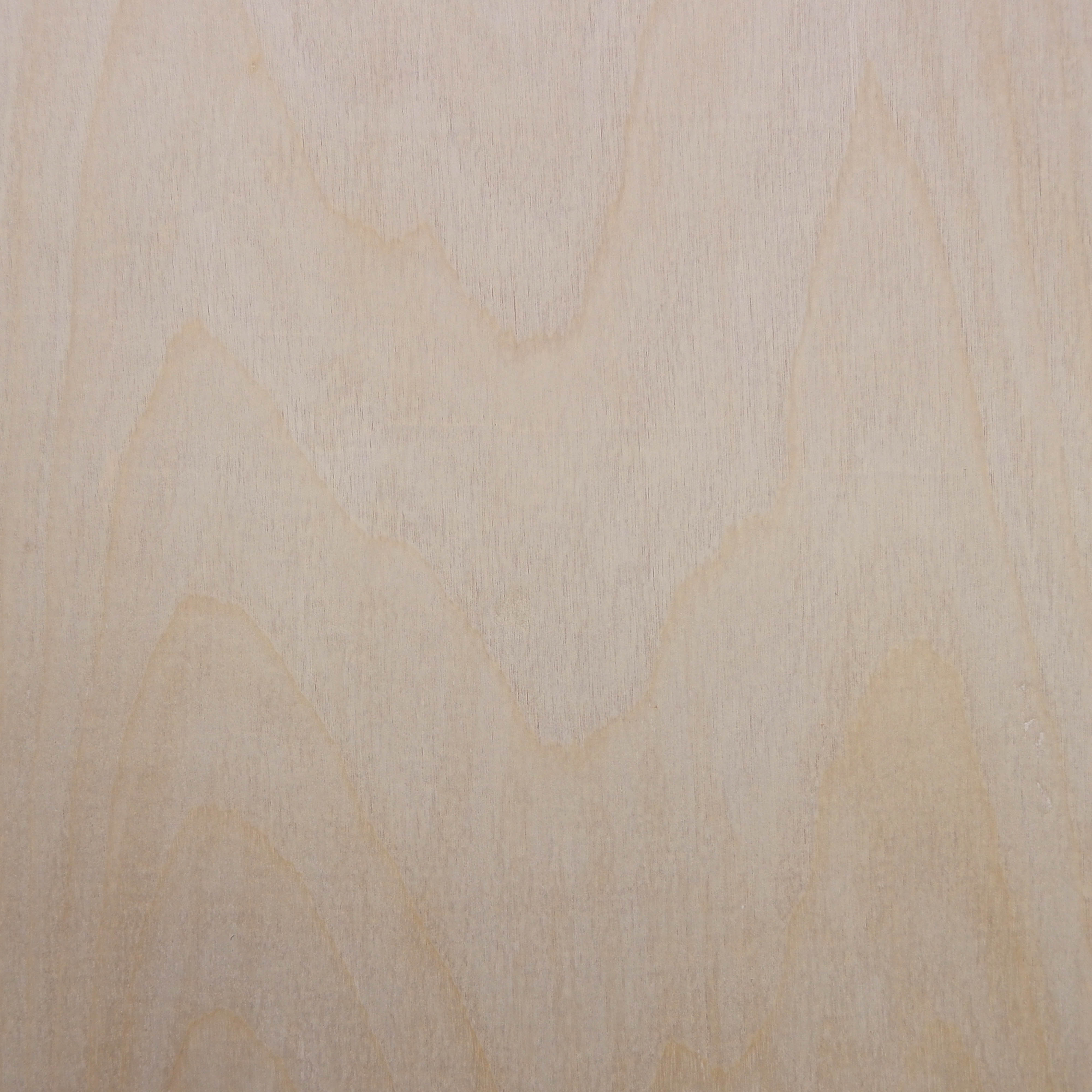 baltic birch plywood