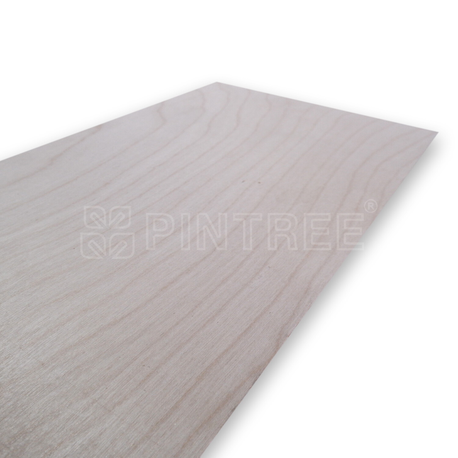 baltic birch plywood