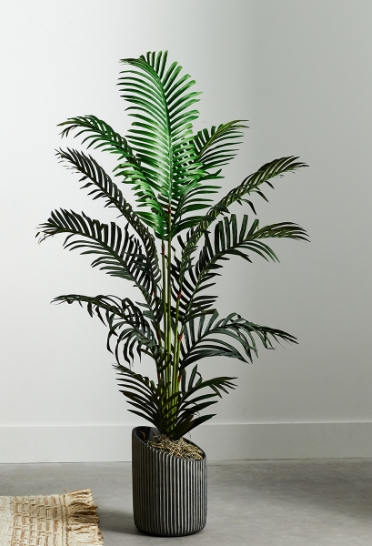 Plants, Trees & Topiaries