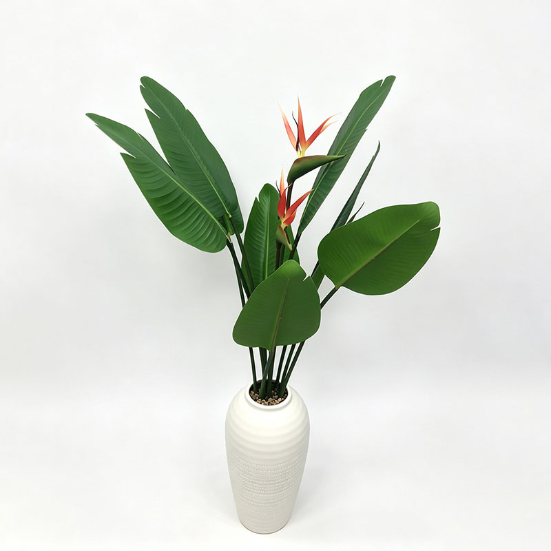 FY091203