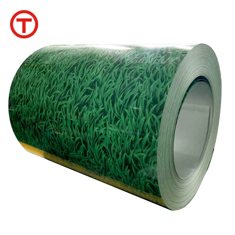Color Coated Roll-Shanghai Taipu Trade Company