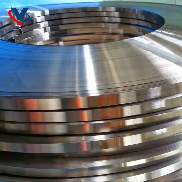 Stainless Steel Strips