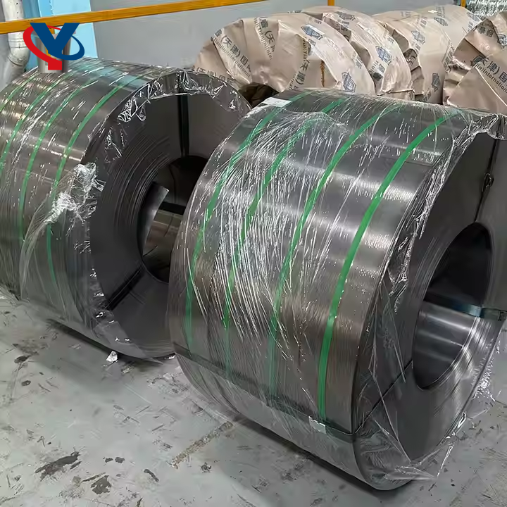 Stainless Steel Strips