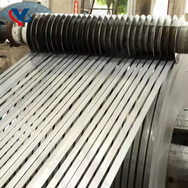 Stainless Steel Strips