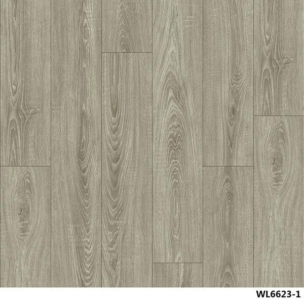 WL6623-1