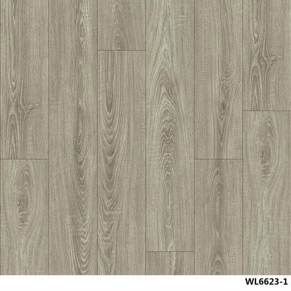 WL6623-1