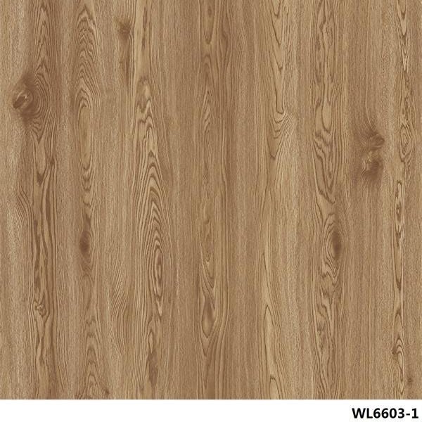 WL6603-1