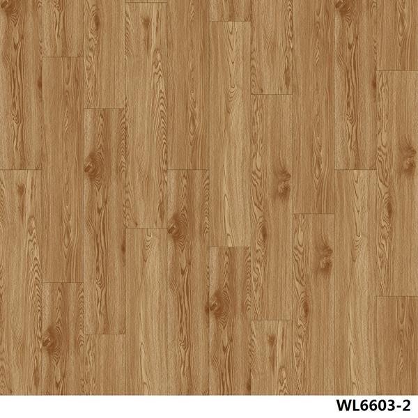 WL6603-2