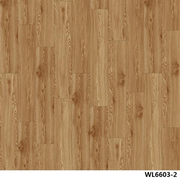 WL6603-2