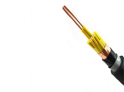 Control Cable