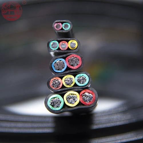 Introduction to Flat Cables u=3775035784,291118509&fm=224&app=112&f=JPEG